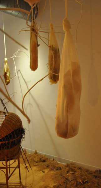 COCOONS Embryonic humans are developing as they dangle from the ceiling, coming to life in the manner of insects. Dolls, fabric, branches, bassinet, seagrass, pine needles